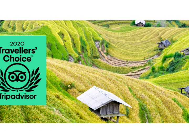 Asianway Travel won TripAdvisor Certificate of Excellence 2020