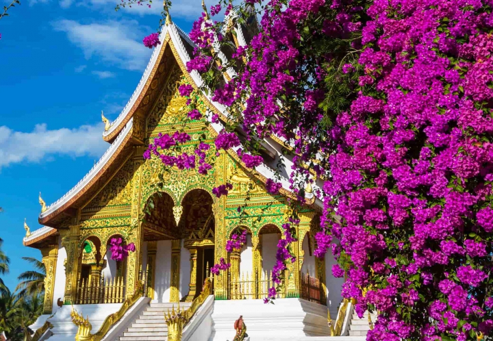 12+ Incredible Things You Can Enjoy in your Trip to Luang Prabang