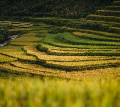 Everything You Need to Know Before Trip to Mu Cang Chai, Vietnam