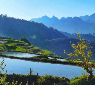 The Ultimate Guide to Get Lost in The Tranquility of Pu Luong