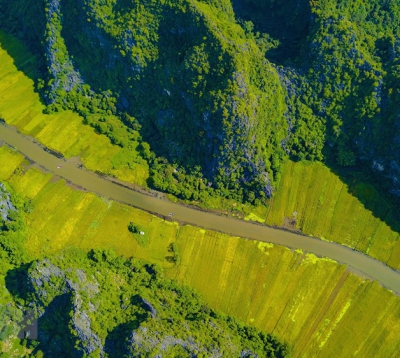 Admire the beauties of Ninh Binh in May | Ninh Binh in Harvest Season