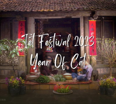 Tet Festival 2023 – Year Of Cat