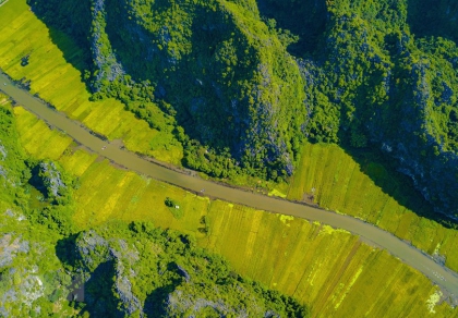 Admire the beauties of Ninh Binh in May | Ninh Binh in Harvest Season