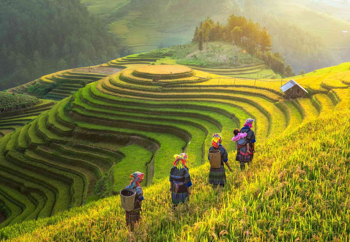 The Ultimate Guide to Sapa in September