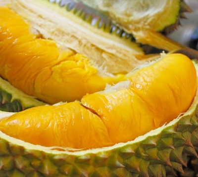 10+ Popular Fruits in Mekong Delta