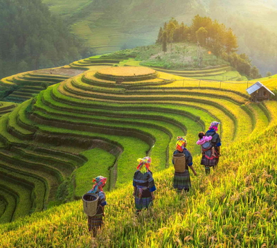 The Ultimate Guide to Sapa in September