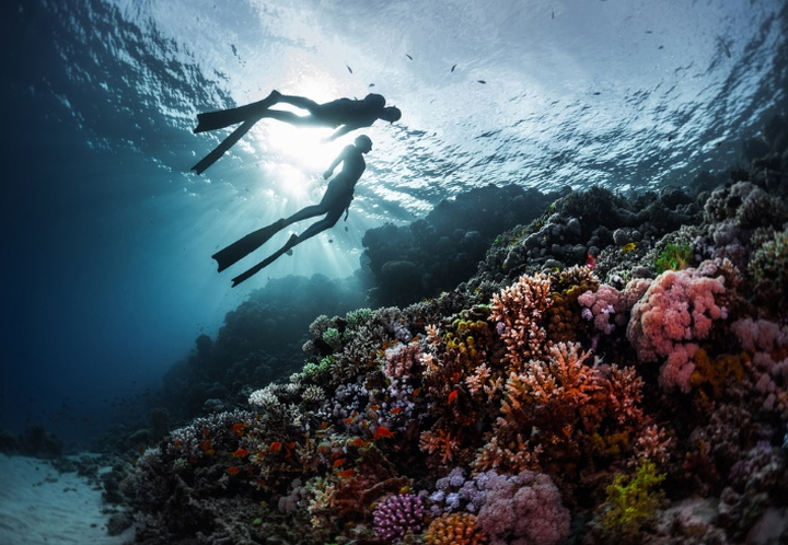 Scuba Diving In Vietnam: Culture Tips