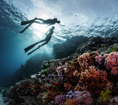 Scuba Diving In Vietnam: Culture Tips