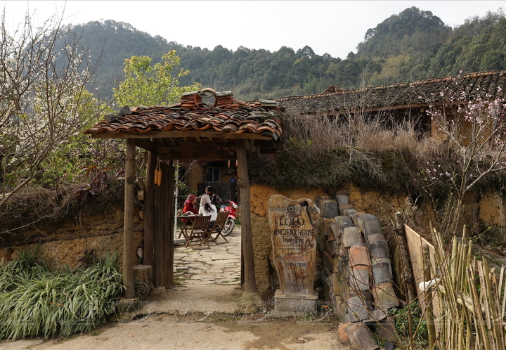 Lo Lo Chai Village Travel Guide: A Peaceful Cultural Escape in Ha Giang