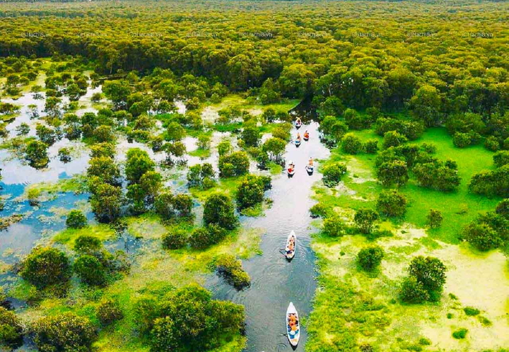 Mekong Delta Local Experience Guide – Authentic Things to Do