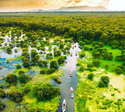 Mekong Delta Local Experience Guide – Authentic Things to Do
