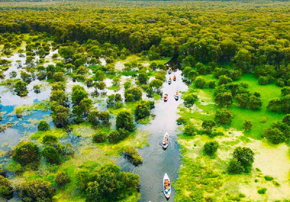 Mekong Delta Local Experience Guide – Authentic Things to Do