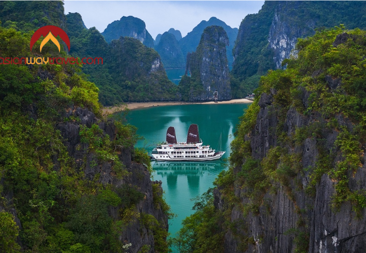 Vietnam Cruises: A Luxurious Journey to Explore Vietnam’s Seas and Islands
