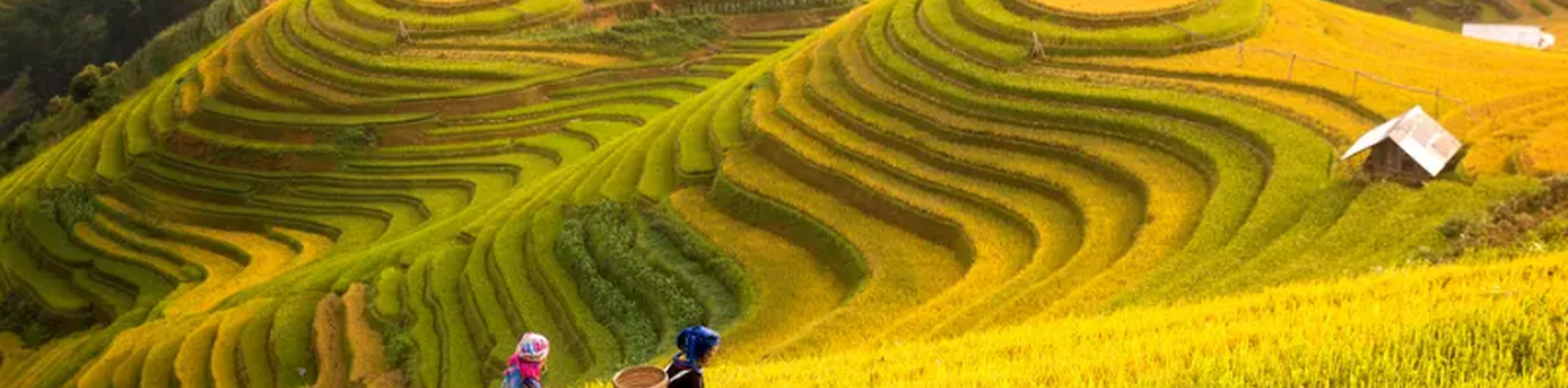Best Time to Visit Vietnam: When Is the Best Season to Travel to Vietnam?