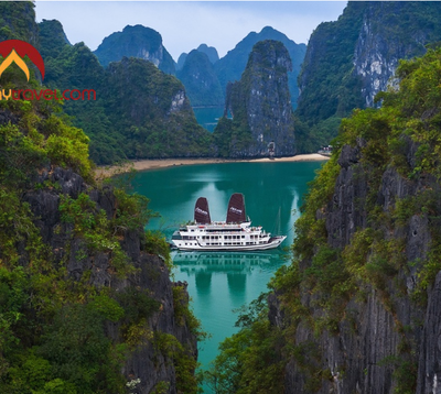 Vietnam Cruises: A Luxurious Journey to Explore Vietnam’s Seas and Islands