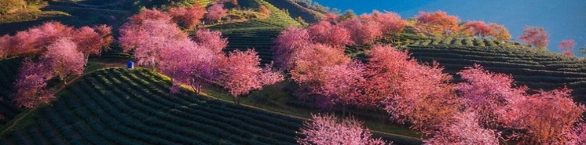 Vietnam Itinerary 5 Days: A Northern Vietnam Route Through Hanoi, Sapa and Halong Bay