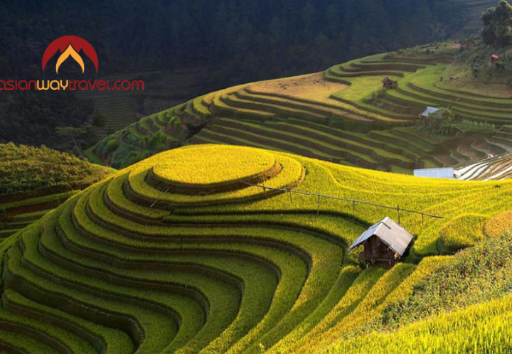 Ha Giang Trip Guide: How to Plan a Safe and Meaningful Journey in Northern Vietnam