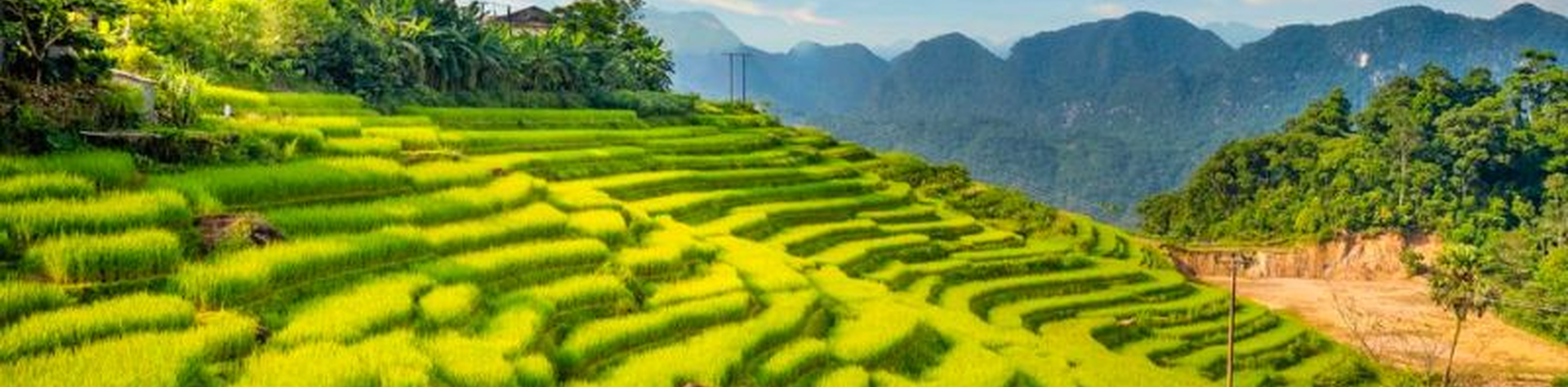 Pu Luong National Park Travel Guide: Best Things to Do, Eat