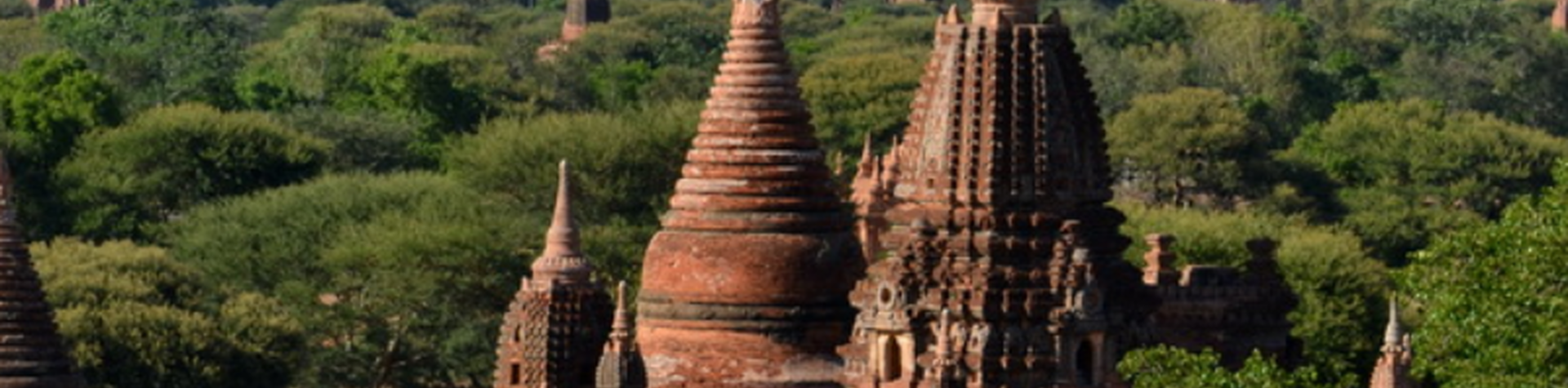 Top Tour Operators in Bangkok Trusted by International Travelers in 2026