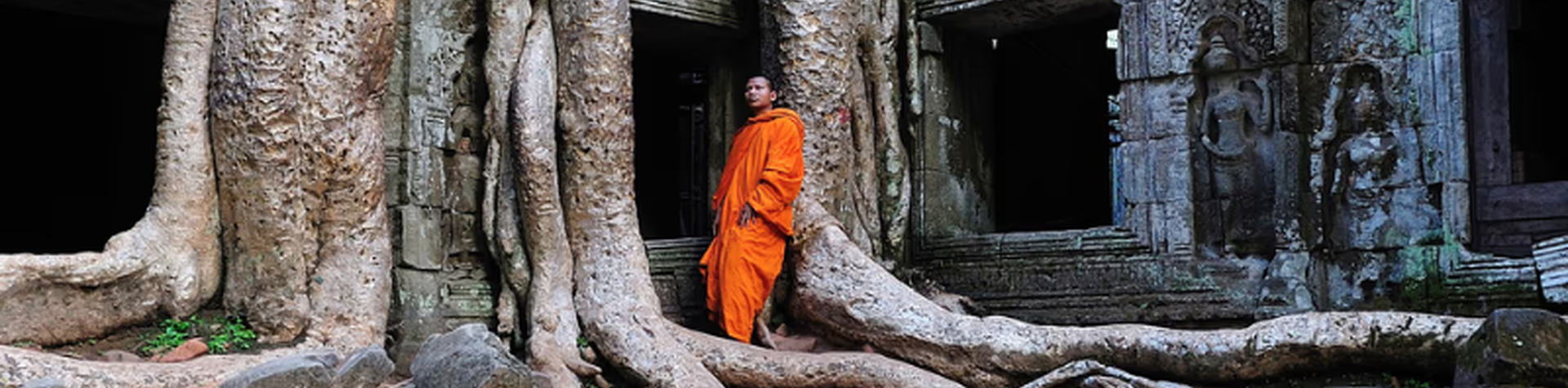 Cambodia Adventure Tours: Discover the Wild Beauty of Cambodia
