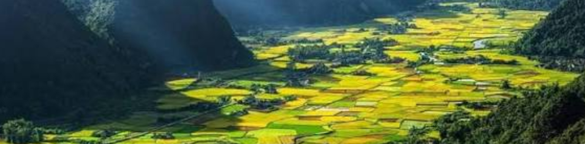 Cost of Things in Vietnam: A Complete Travel Price Guide