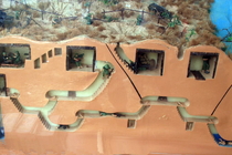 Full-day Saigon - Cu Chi - City Tour Private