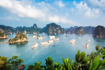 Paradise Elegance Cruise 2 days 1 night