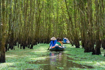 4 Days Saigon & Nearby