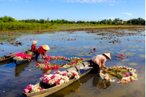 14 Days Vietnam & Thailand Cuisine Journey