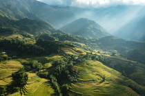 5 Days Northern Vietnam Rice Terrace
