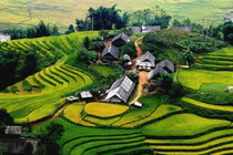 5 Days Northern Vietnam Rice Terrace