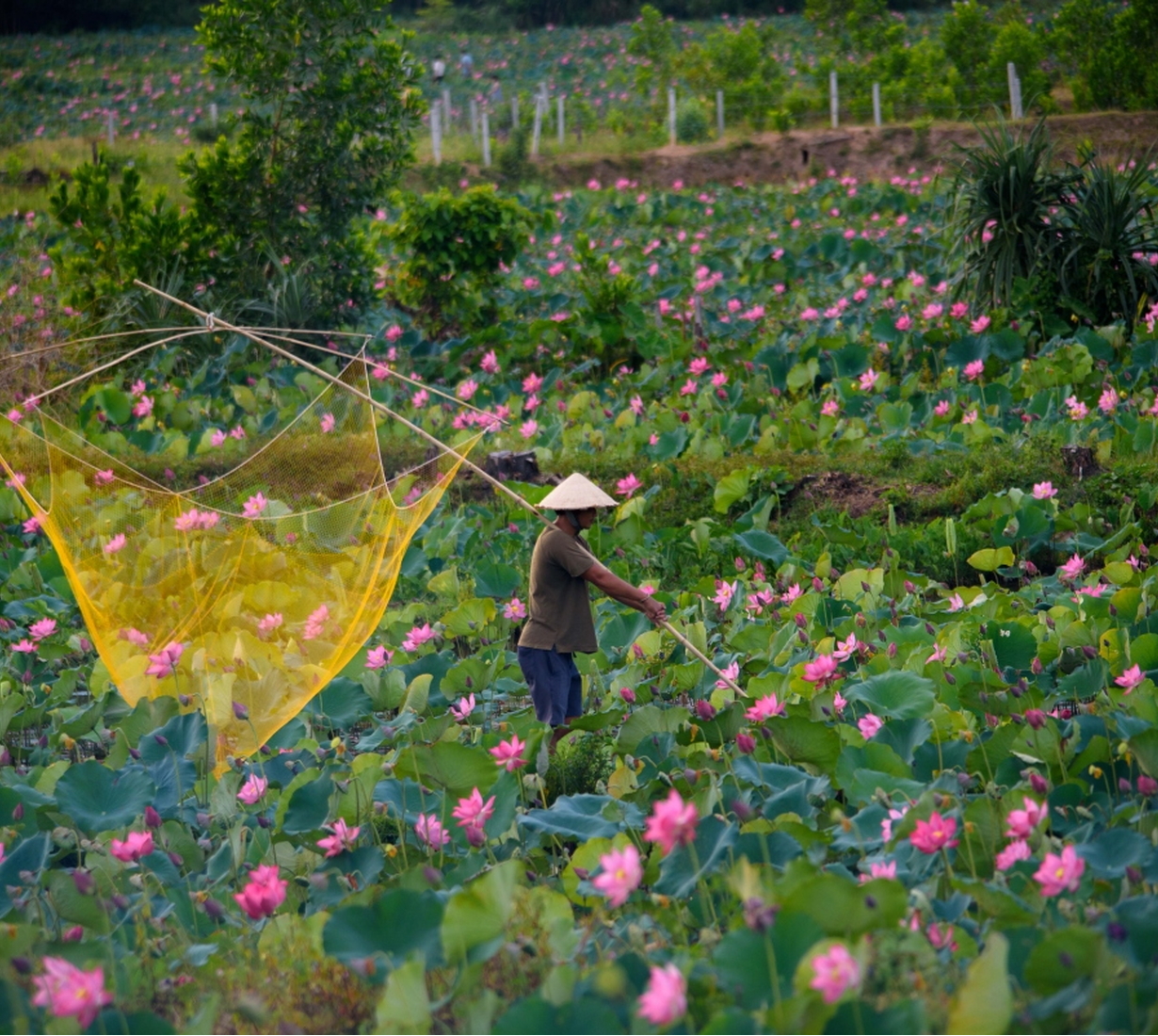 5 Days Hanoi – Ninh Binh – Halong