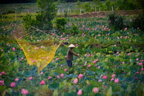 5 Days Hanoi – Ninh Binh – Halong