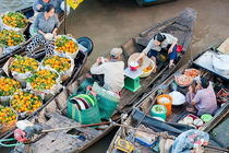 Mekong Luxury Day Trip with Mango Cruise