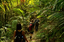 Trekking Luang Prabang 10 Days