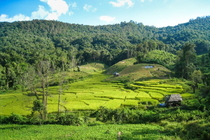 Chiang Mai & Lahu village trekking 3 Days