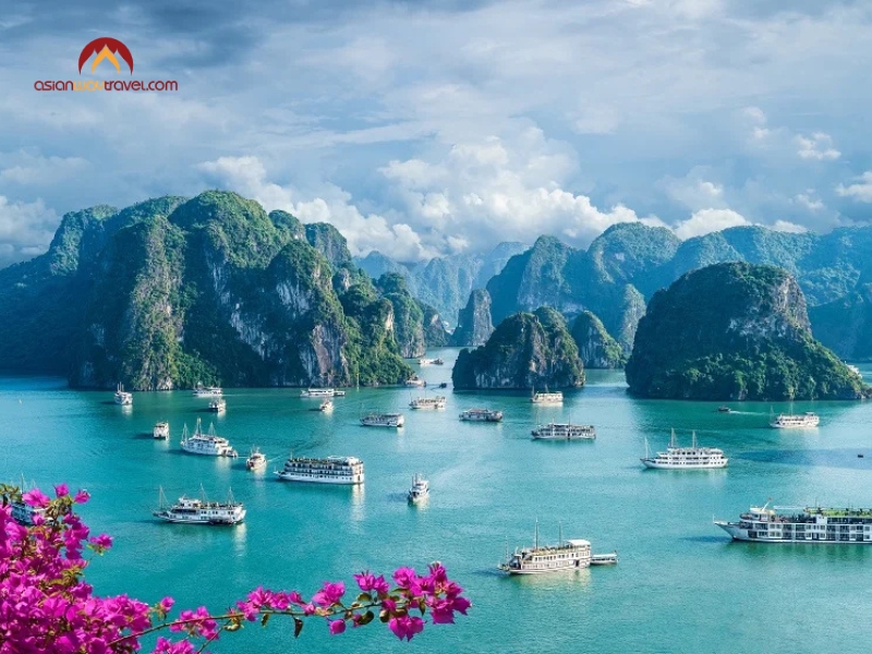 2 Weeks in Vietnam