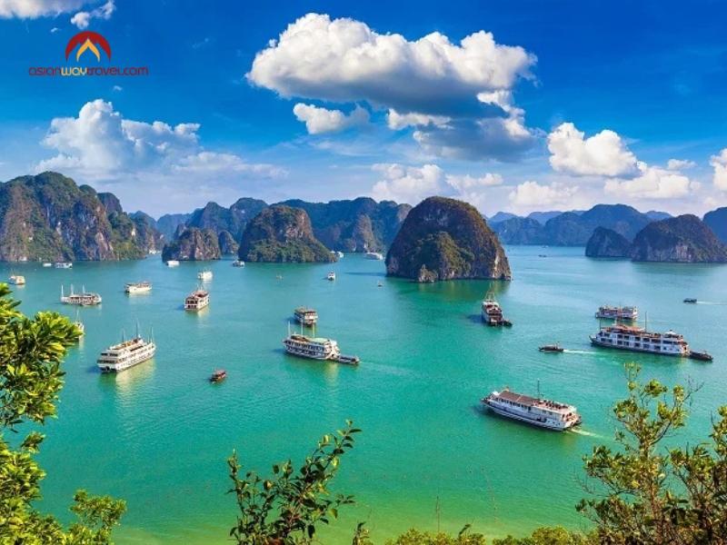 Vietnam tourism