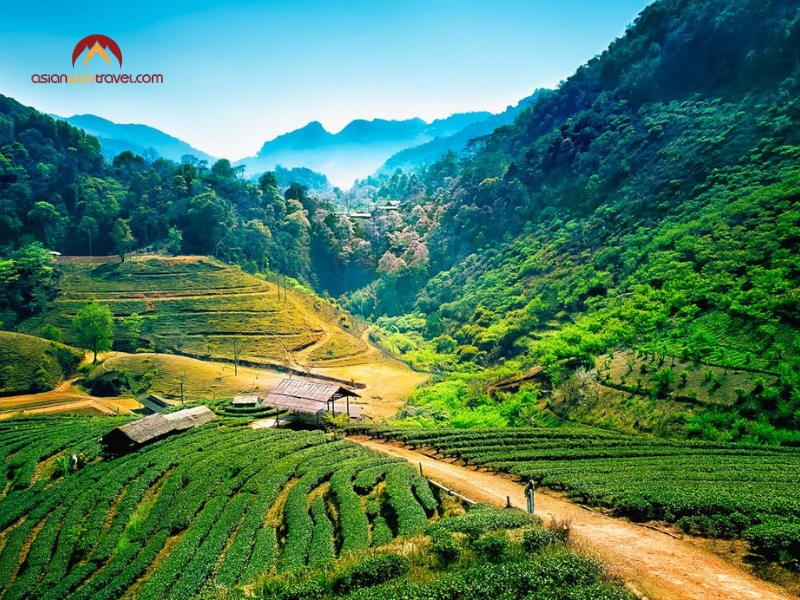 best time to visit chiang mai