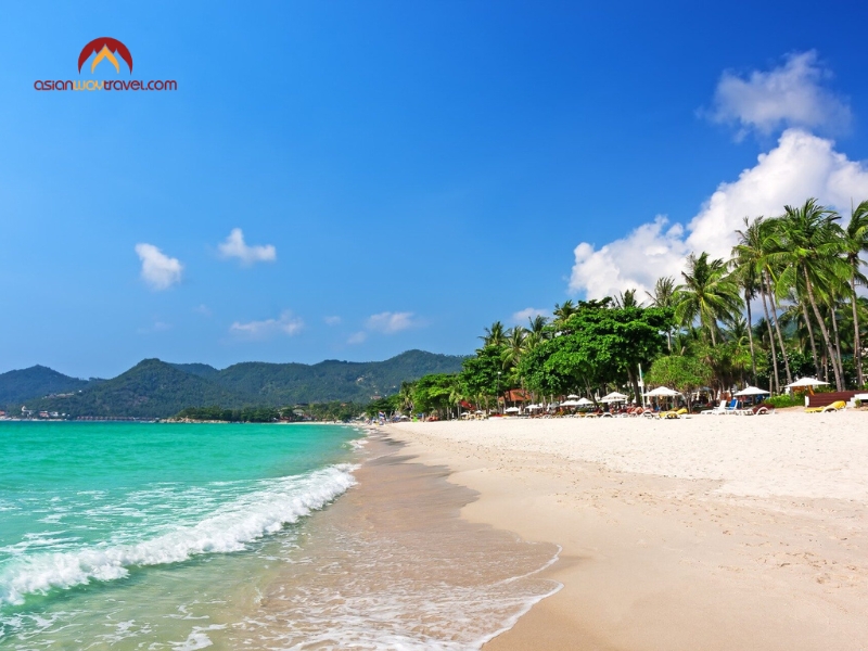 best time to visit thailand