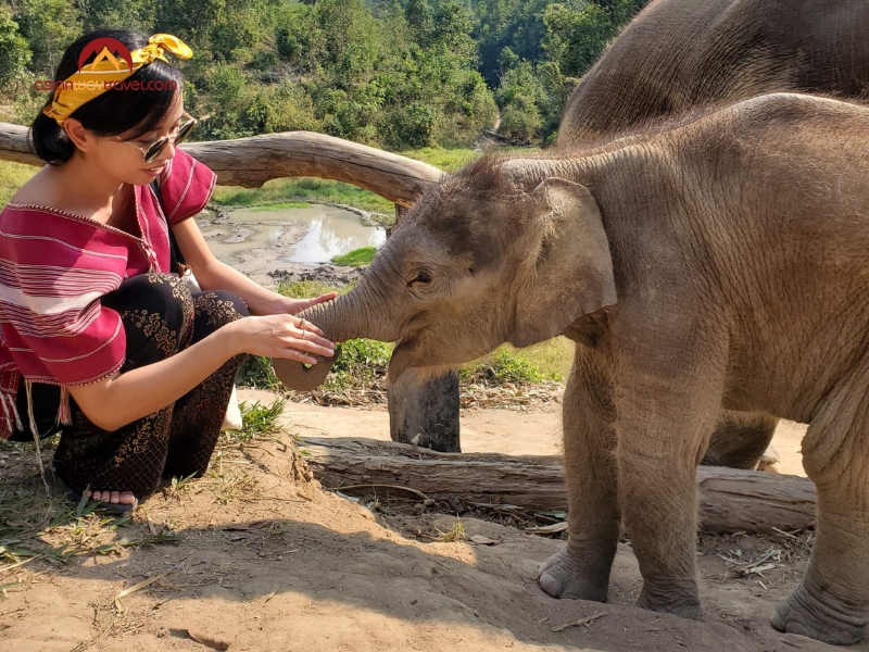 Visit an Ethical Elephant Sanctuary