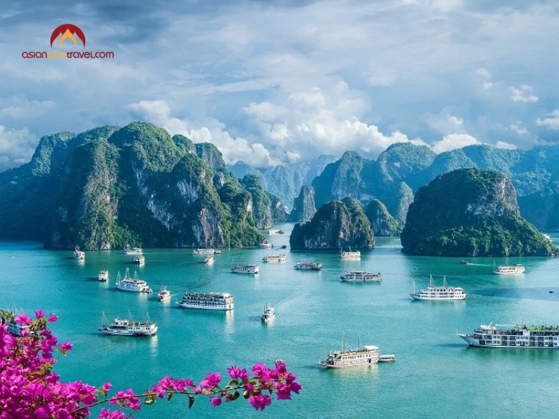 1 week in vietnam