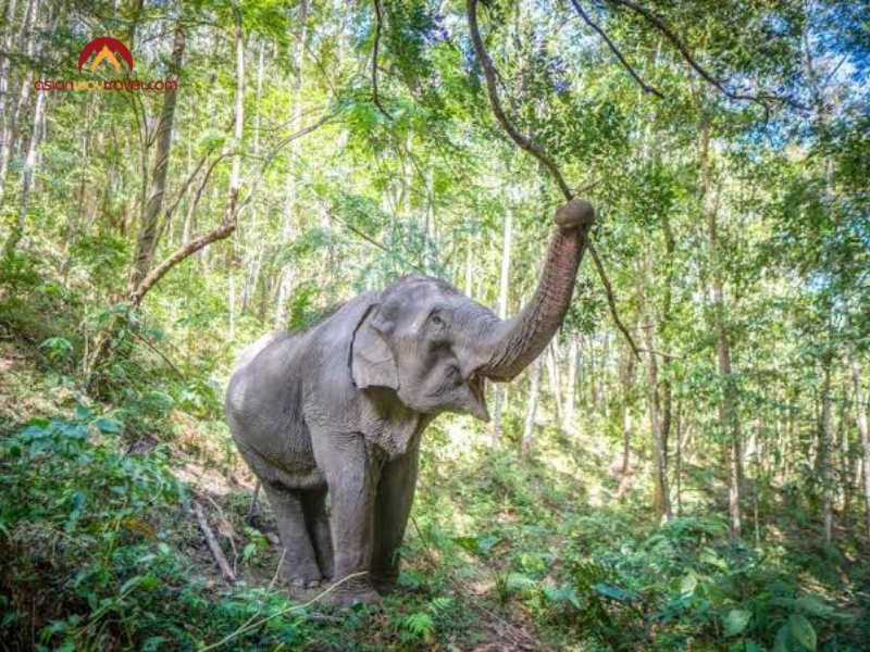 7 day holiday packages thailand