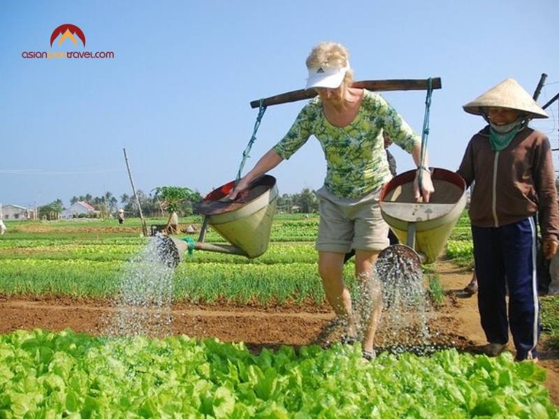 Best Things to Do in Mekong Delta