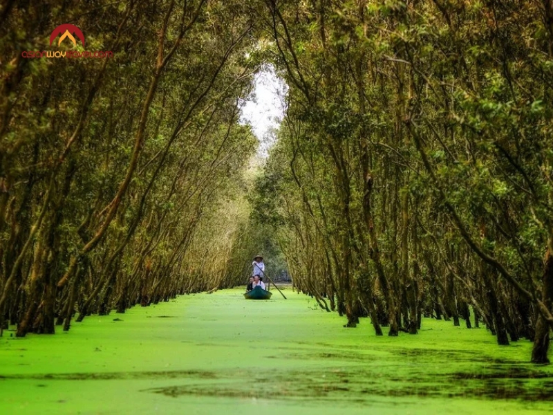 Best Things to Do in Mekong Delta