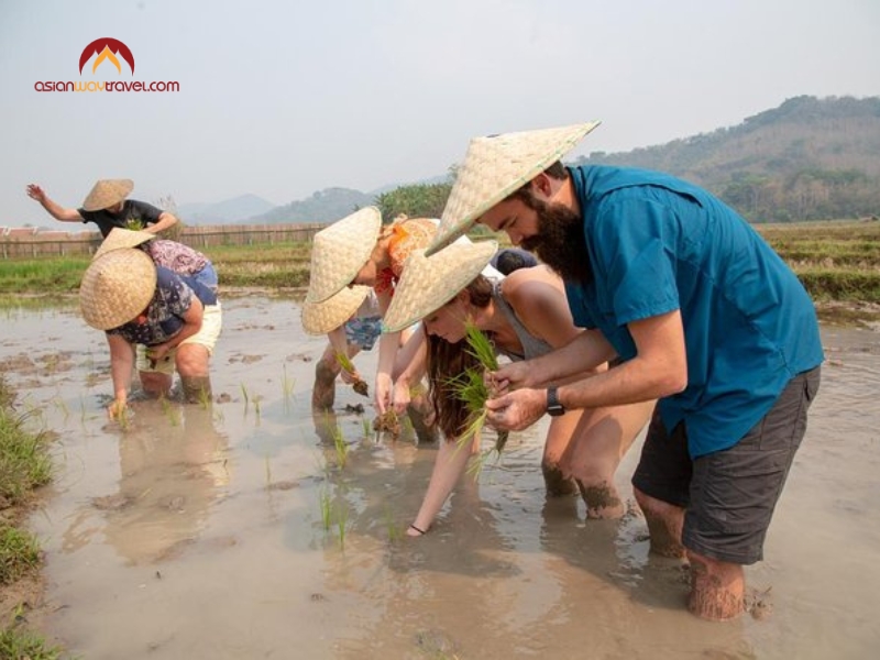 Things to Do in Luang Prabang