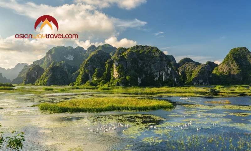 Scenic limestone karsts and wetlands in Ninh Binh, Vietnam