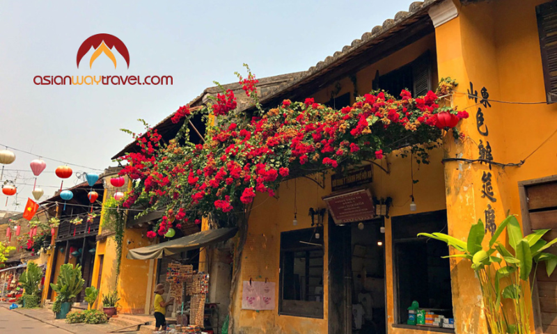 Yellow heritage houses in Hoi An Ancient Town