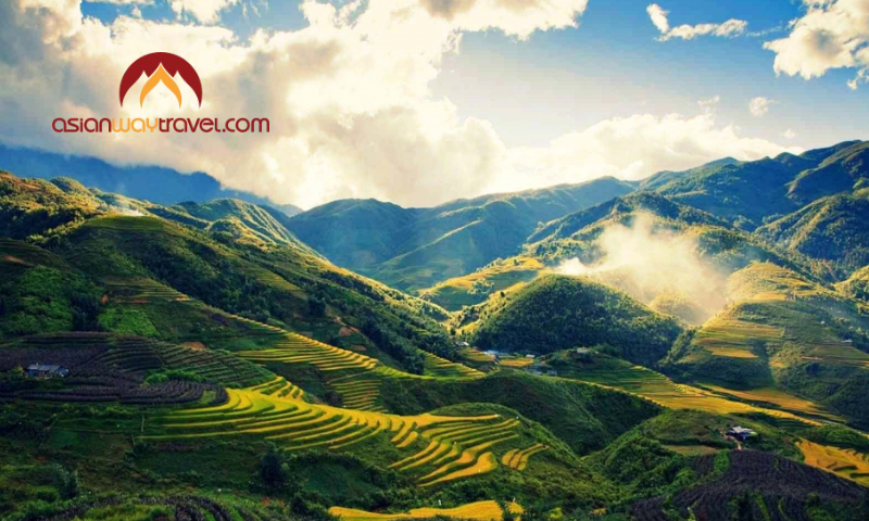 Terraced Rice Fields