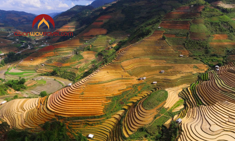 Mu Cang Chai terraced fields above
